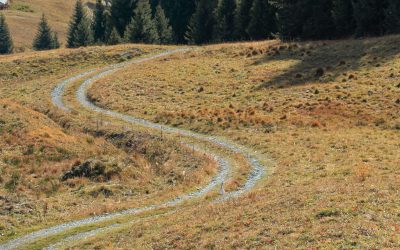 Occupation des chemins communaux par des propriétaires privés et recours des communes